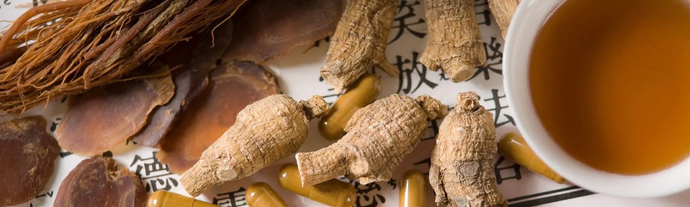 ginseng gingembre Amoseeds specialiste des super aliments Bio