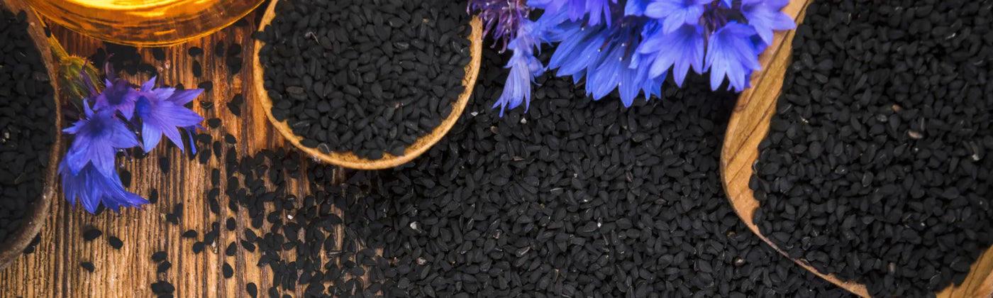 graine de nigelle guide bienfaits utilisation amoseeds specialiste des super aliments bio