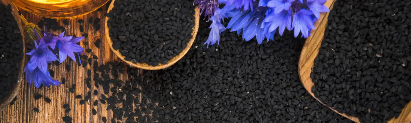 graine de nigelle guide bienfaits utilisation amoseeds specialiste des super aliments bio