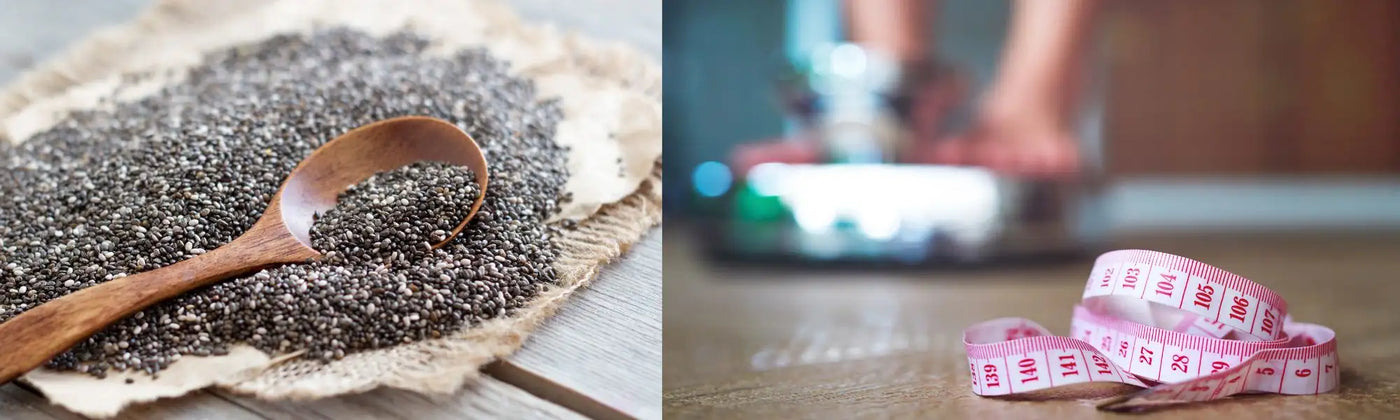 graines chia perte poids Amoseeds specialiste des super aliments Bio