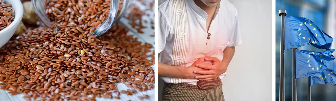 graines lin danger amoseeds specialiste des super aliments Bio