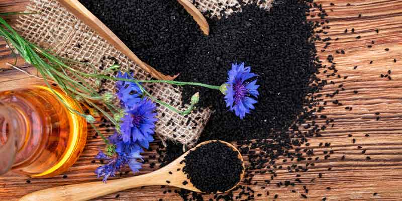 Graine nigelle bio bienfait utilisation risque amoseeds specialiste des super aliments bio