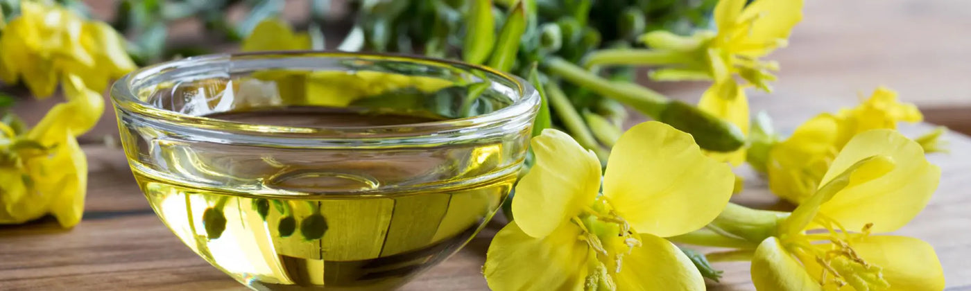 huile onagre contre indications Amoseeds specialiste des super aliments Bio
