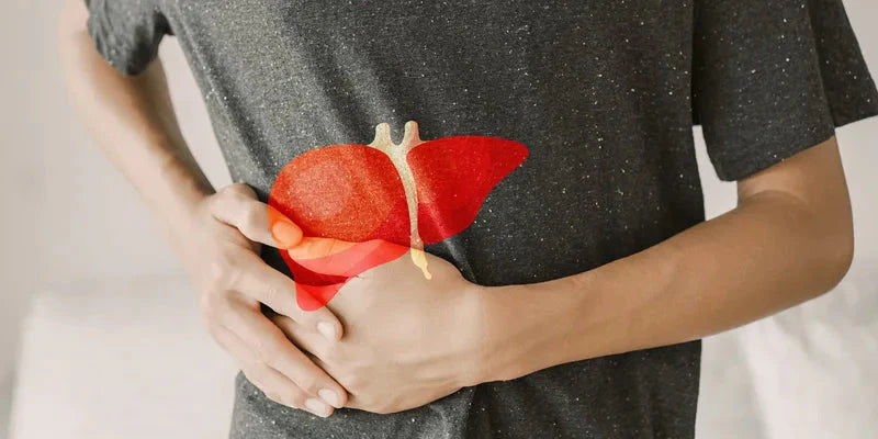 article pires aliments foie Amoseeds specialiste des super aliments Bio