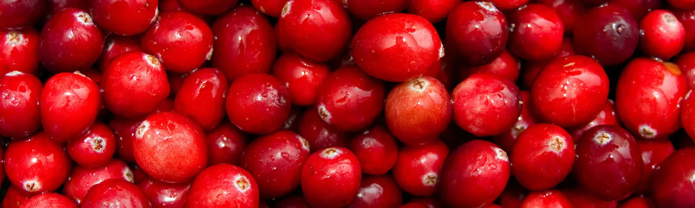 cranberry canneberge bienfaits amoseeds specialiste des super aliments bio