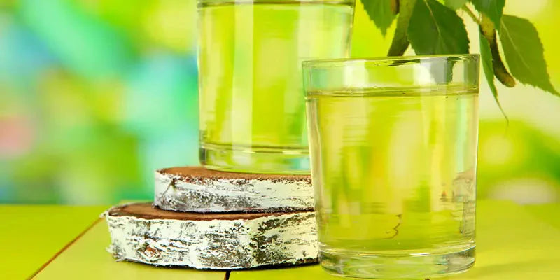 seve bouleau dangers amoseeds specialiste des super aliments Bio