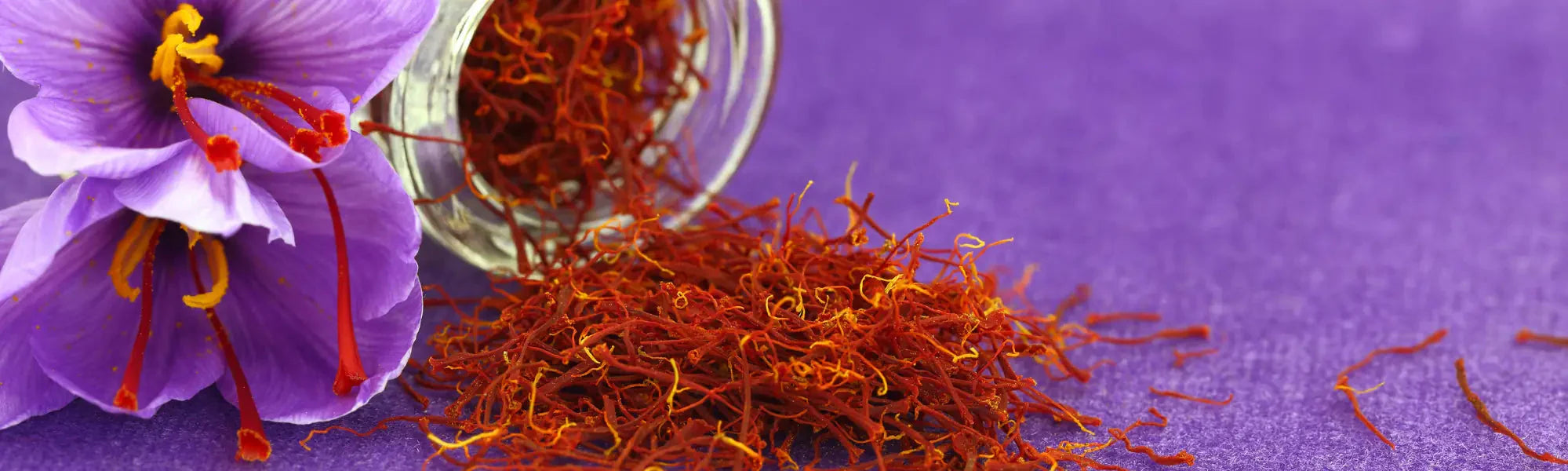 Safran : origine, bienfaits et guide d'utilisation – Amoseeds