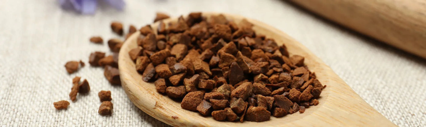 inuline chicoree guide Amoseeds specialiste des super aliments Bio