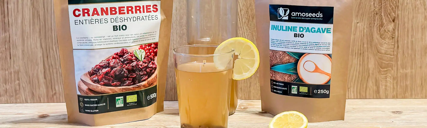 recette kefir fruits amoseeds specialiste des super aliments Bio