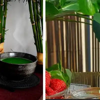meilleur matcha Amoseeds specialiste des super aliments Bio
