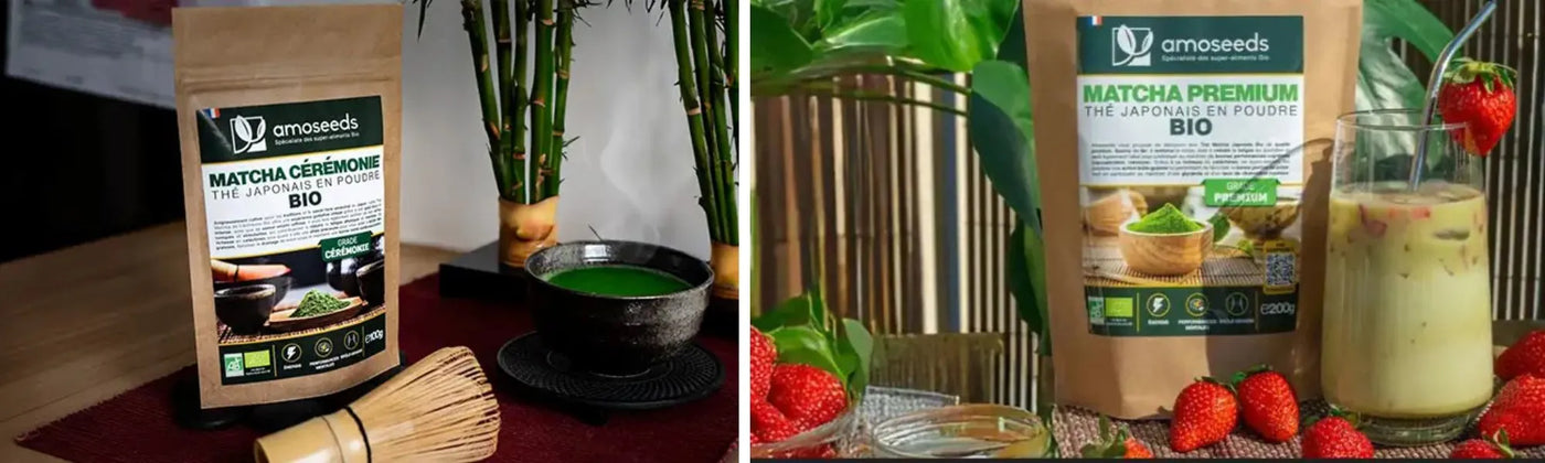 meilleur matcha Amoseeds specialiste des super aliments Bio