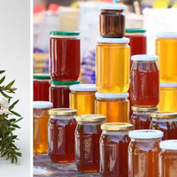 miel de manuka vs miels classqiues Amoseeds specialiste des super aliments Bio