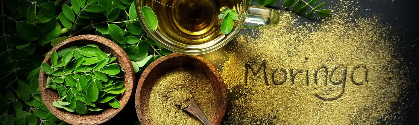 moringa guide Amoseeds specialiste des super aliments Bio