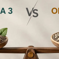 omega 3 VS omega 6 Amoseeds sepcialiste des super aliments Bio
