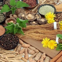 plantes adaptogenes Amoseeds specialiste des super aliments Bio