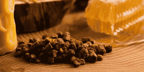 propolis bienfaits guide complet amoseeds specialiste des super aliments bio