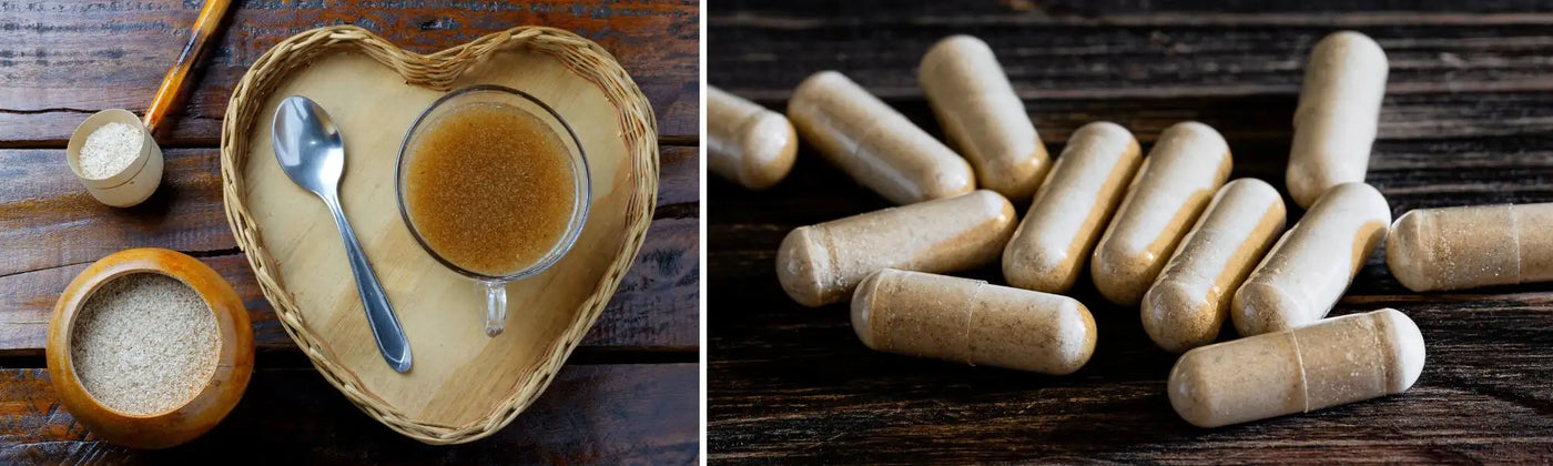 psyllium cholesterol Amoseeds specialiste des super aliments Bio