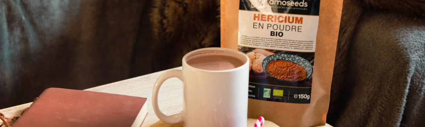 recette chocolat chaud hericium bio amoseeds specialiste des super aliments Bio