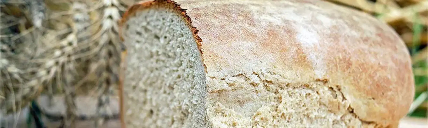 recette de pain sans gluten au psyllium blond bio amoseeds specialiste des super aliments Bio