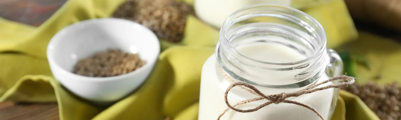 recette lait vegetal graines de chanvre bio amoseeds specialiste des super aliments Bio
