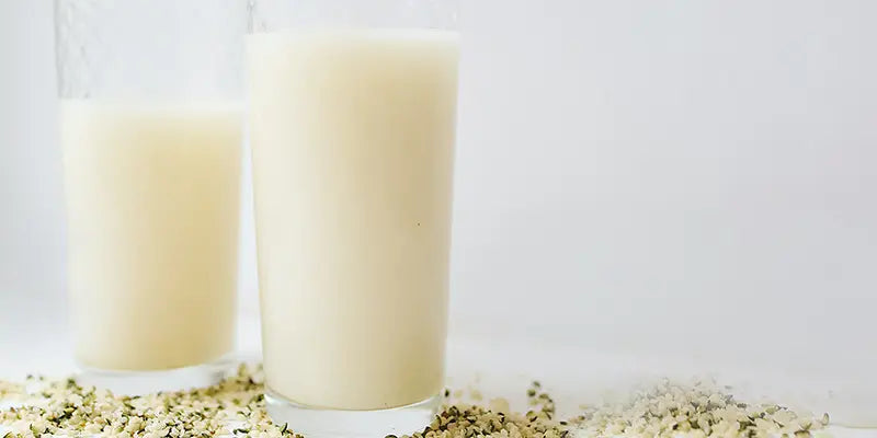 recette lait vegetal graines de chanvre bio amoseeds specialiste des super aliments Bio