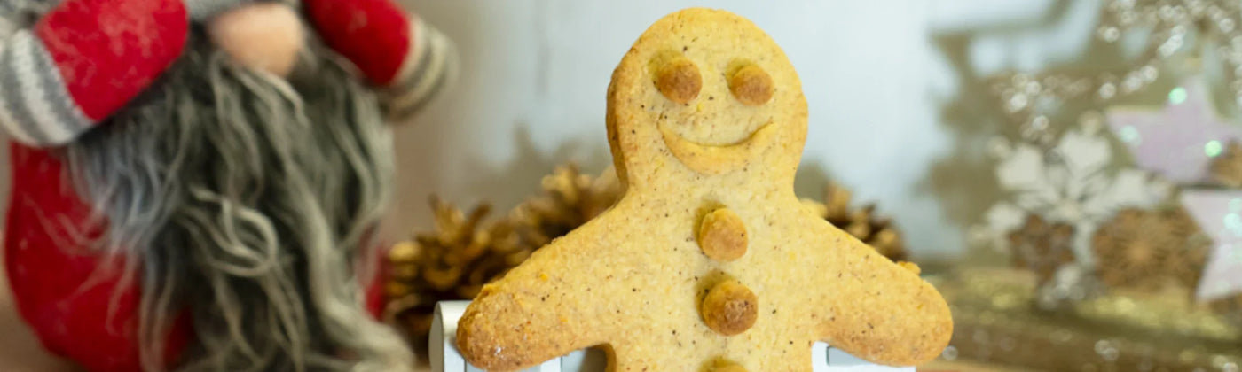 recette sables pain epices xylitol inuline agave amoseeds specialiste des super aliments Bio 