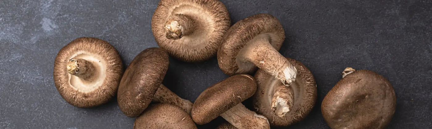 shiitake cuisson Amoseeds specialiste des super aliments bio
