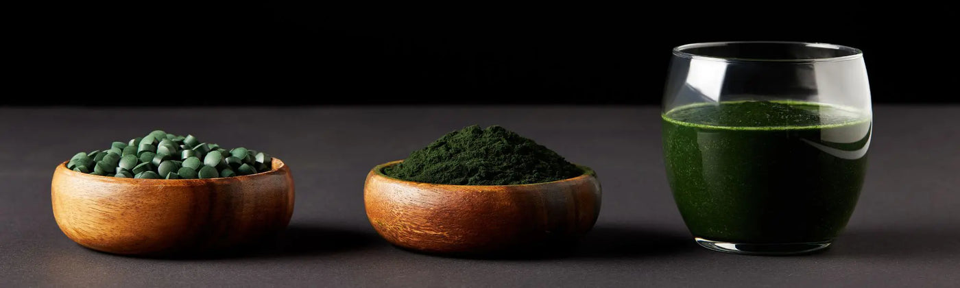 spiruline proteines Amoseeds specialiste des super aliments Bio