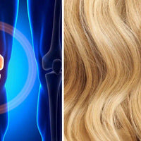 superaliments indispensables automne Amoseeds specialiste des superaliments Bio 