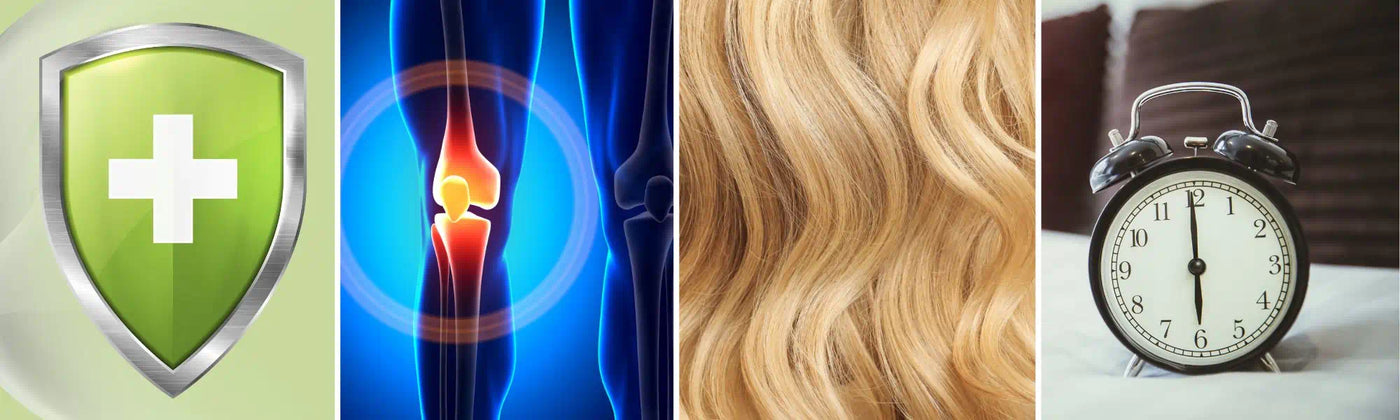 superaliments indispensables automne Amoseeds specialiste des superaliments Bio 