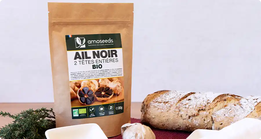 Tout savoir sur l'Ail Noir