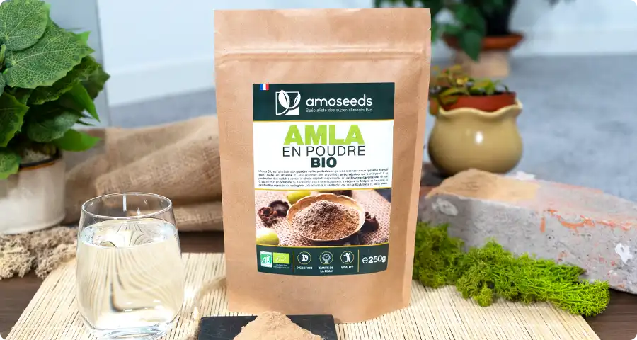 Les bienfaits de l'Amla Bio