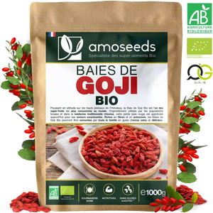 Baies de Goji Bio 1kg