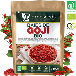 Baies de Goji Bio 500g