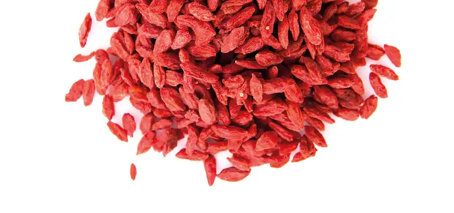 Baies de Goji Bio