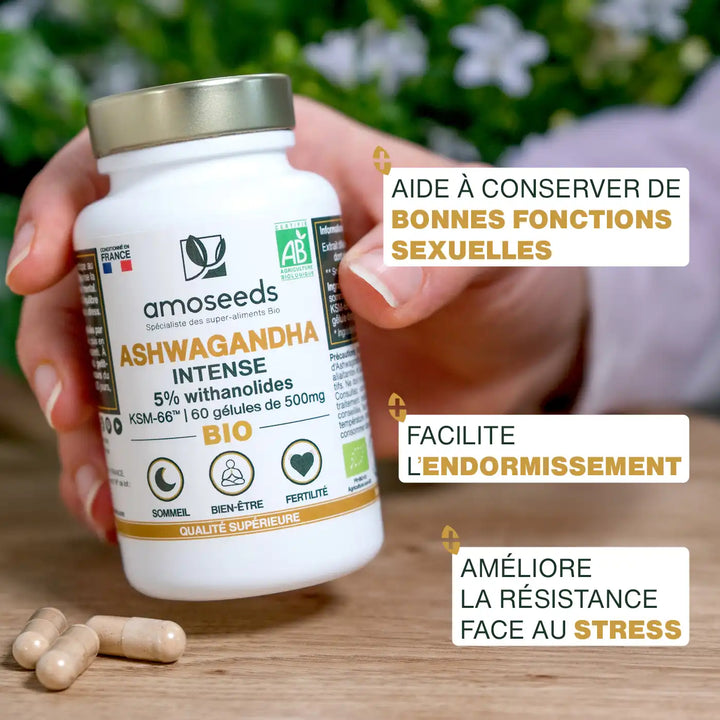 Bienfaits Ashwagandha