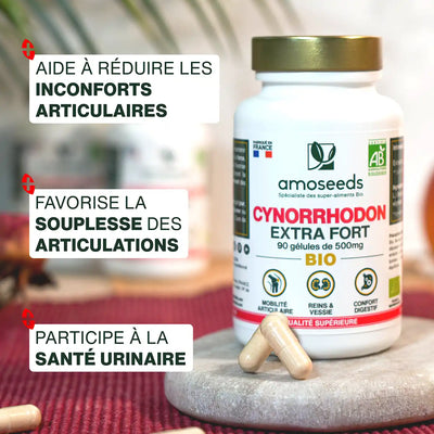 Bienfaits Cynorrhodon bio gelules - amoseeds specialiste des super aliments bio,