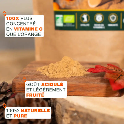 Camu-Camu Bio - amoseeds specialiste des super aliments bio