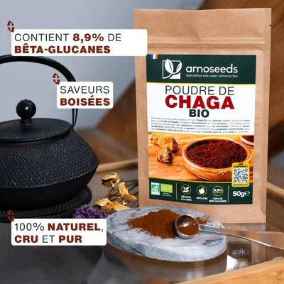 Poudre de Chaga Bio 50G amoseeds specialiste des super aliments Bio