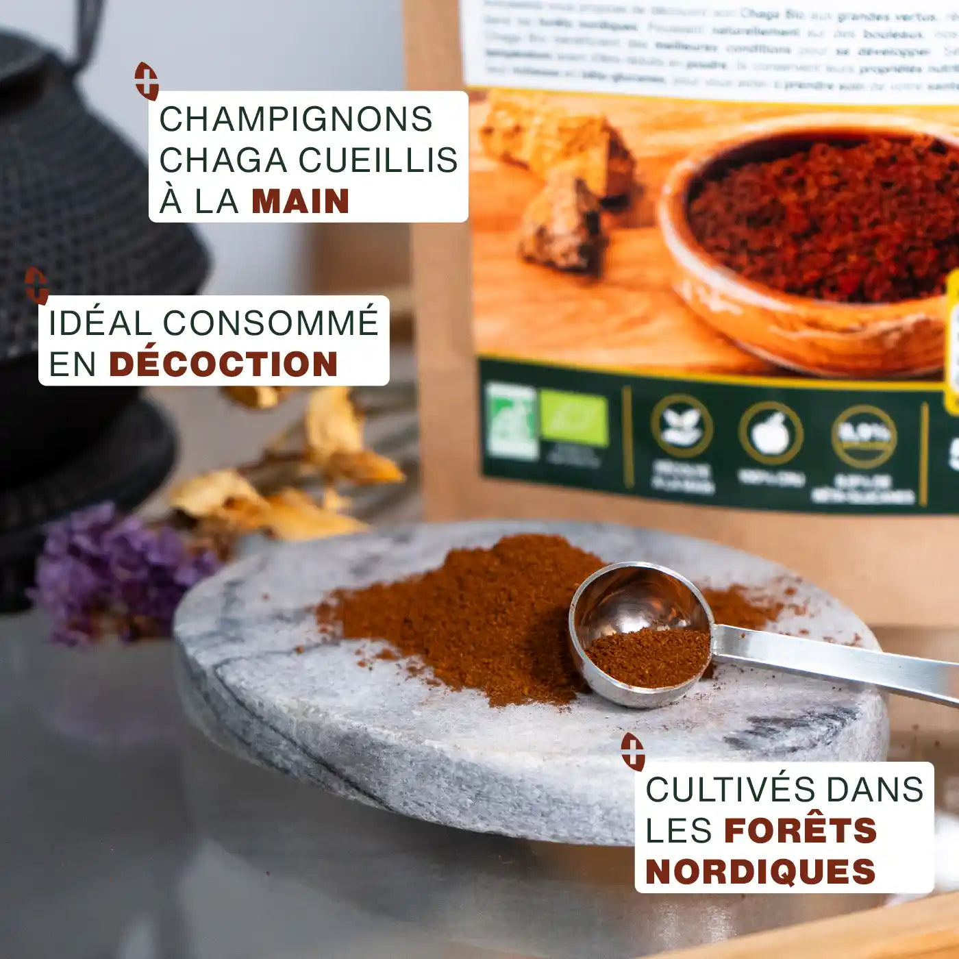 Poudre de Chaga Bio 50G amoseeds specialiste des super aliments Bio