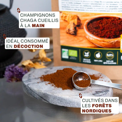 Poudre de Chaga Bio 50G amoseeds specialiste des super aliments Bio