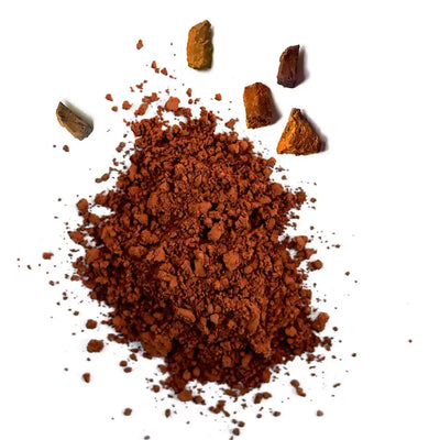 Poudre de Chaga Bio 50G amoseeds specialiste des super aliments Bio