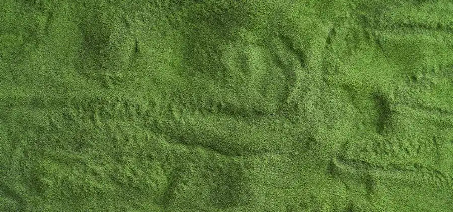 Chlorella Bio