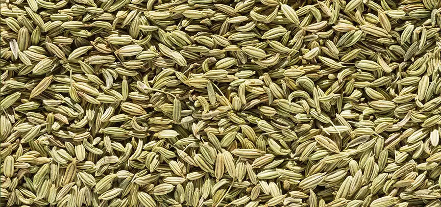 Fenouil Bio