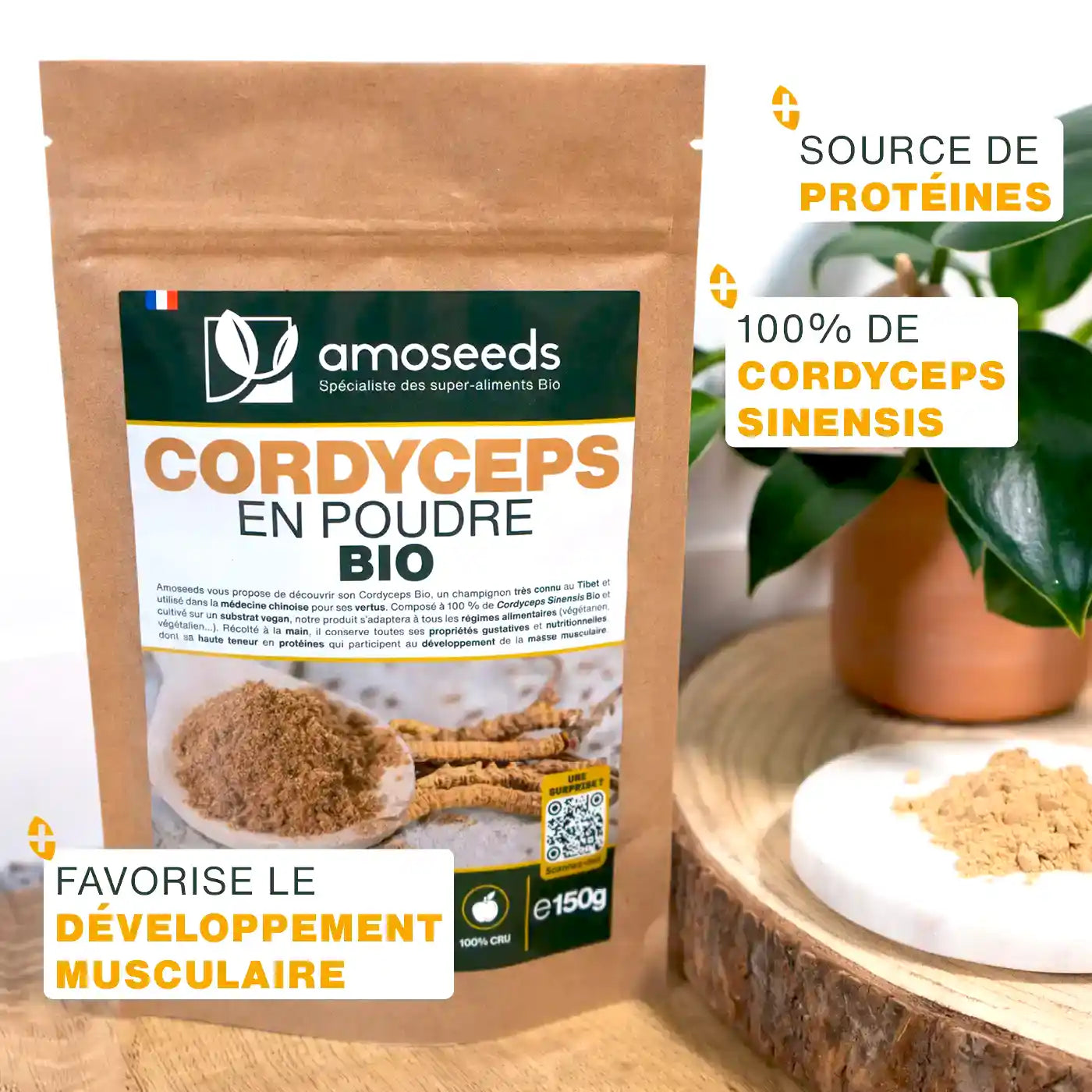 Cordyceps Bio - amoseeds specialiste des super aliments bio