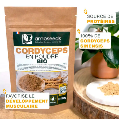 Cordyceps Bio - amoseeds specialiste des super aliments bio