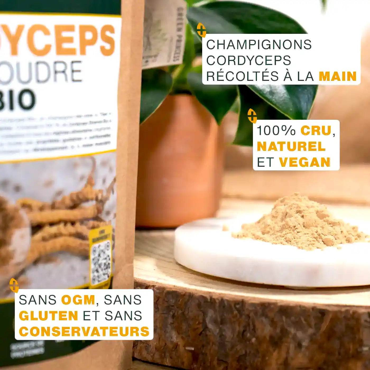 Cordyceps Bio - amoseeds specialiste des super aliments bio