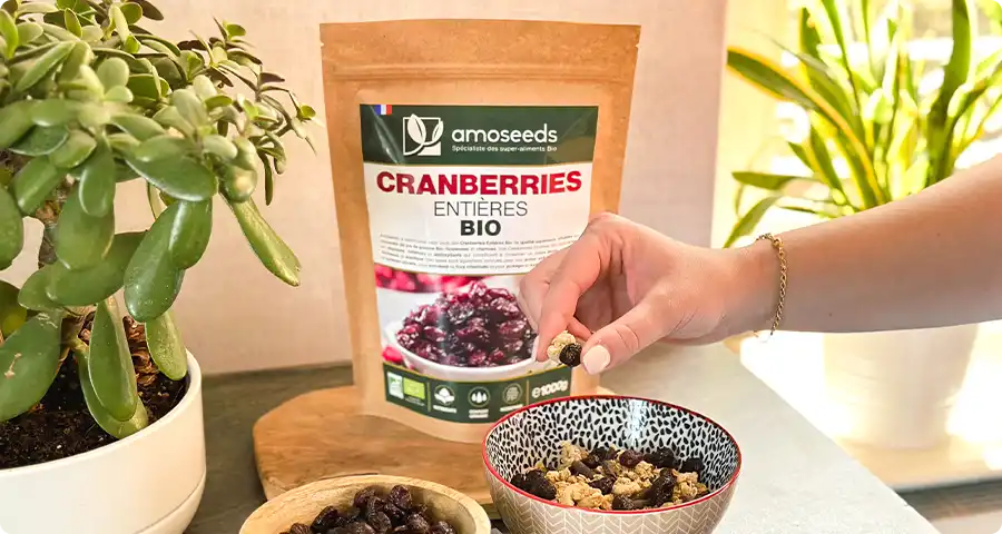 Tout savoir sur les Cranberries Bio