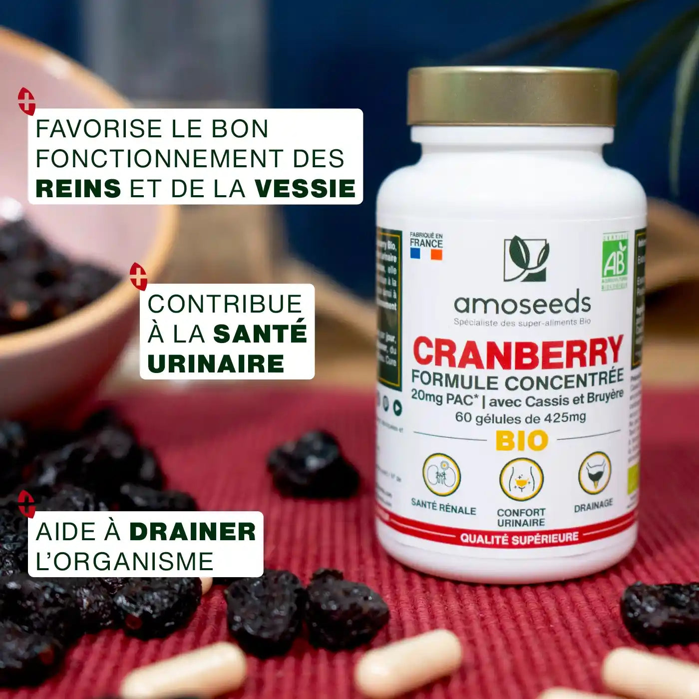 Cranberry formule gelules bio amoseeds specialiste super aliments bio