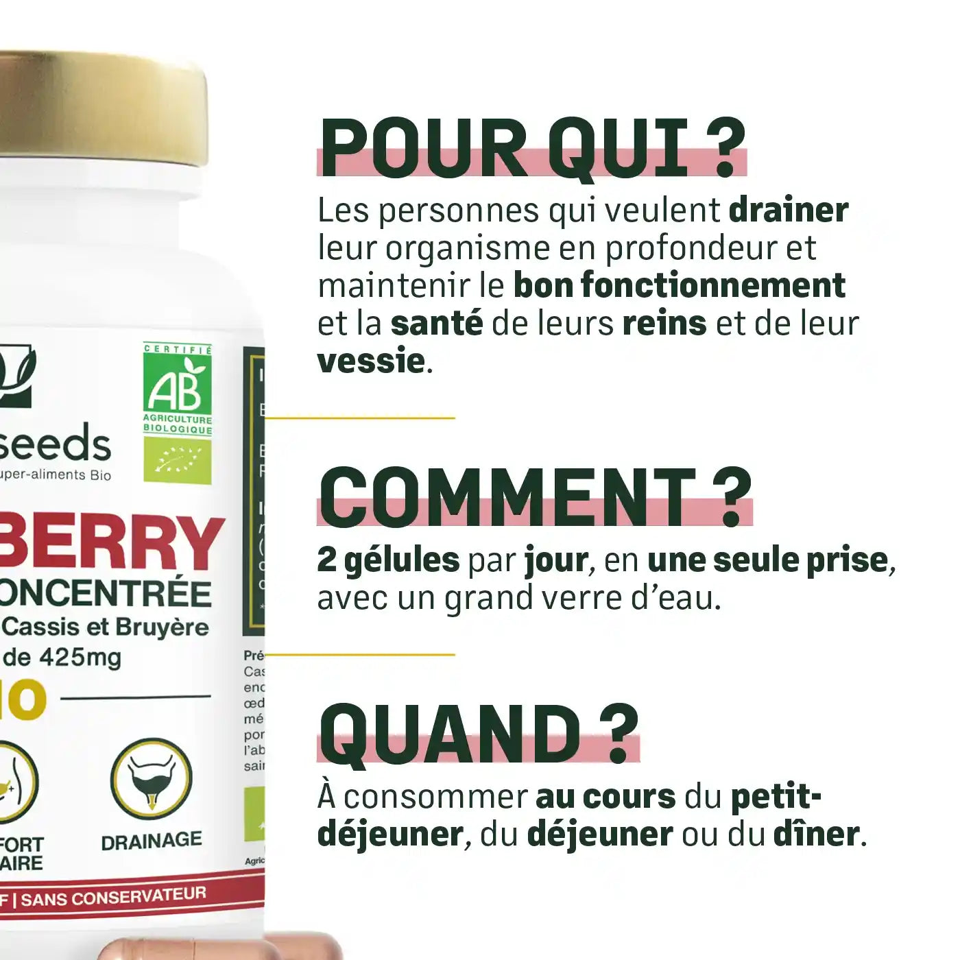 Cranberry formule gelules bio amoseeds specialiste super aliments bio